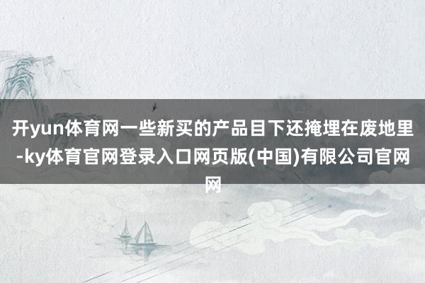 开yun体育网一些新买的产品目下还掩埋在废地里-ky体育官网登录入口网页版(中国)有限公司官网