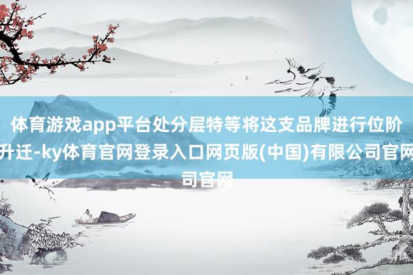 体育游戏app平台处分层特等将这支品牌进行位阶升迁-ky体育官网登录入口网页版(中国)有限公司官网