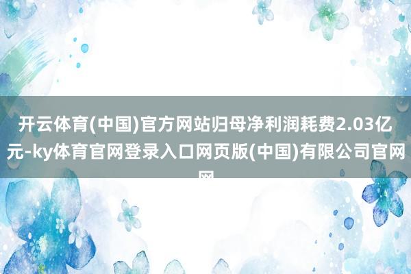 开云体育(中国)官方网站归母净利润耗费2.03亿元-ky体育官网登录入口网页版(中国)有限公司官网