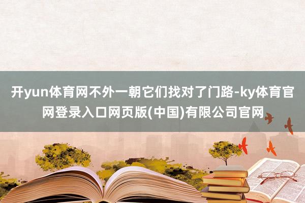 开yun体育网不外一朝它们找对了门路-ky体育官网登录入口网页版(中国)有限公司官网