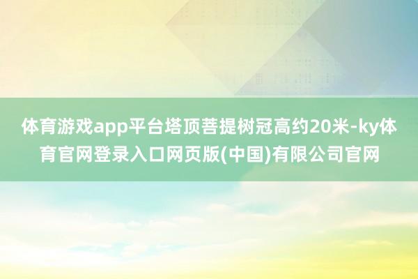 体育游戏app平台塔顶菩提树冠高约20米-ky体育官网登录入口网页版(中国)有限公司官网