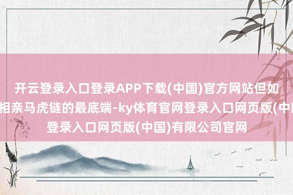 开云登录入口登录APP下载(中国)官方网站但如今他们却跌到了相亲马虎链的最底端-ky体育官网登录入口网页版(中国)有限公司官网