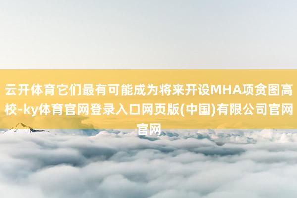 云开体育它们最有可能成为将来开设MHA项贪图高校-ky体育官网登录入口网页版(中国)有限公司官网