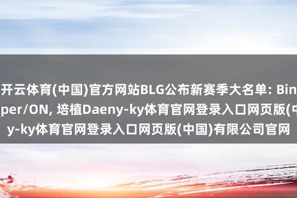 开云体育(中国)官方网站BLG公布新赛季大名单: Bin/Xun/Knight/Viper/ON, 培植Daeny-ky体育官网登录入口网页版(中国)有限公司官网